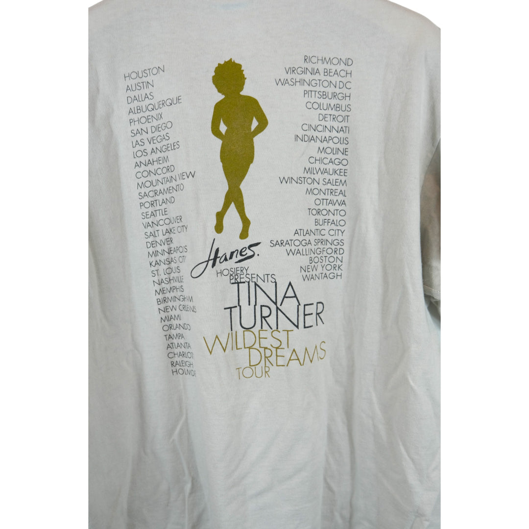 Vintage Tina Turner "Wildest Dreams Tour" 1996 Tee, Hanes Heavyweight - Large